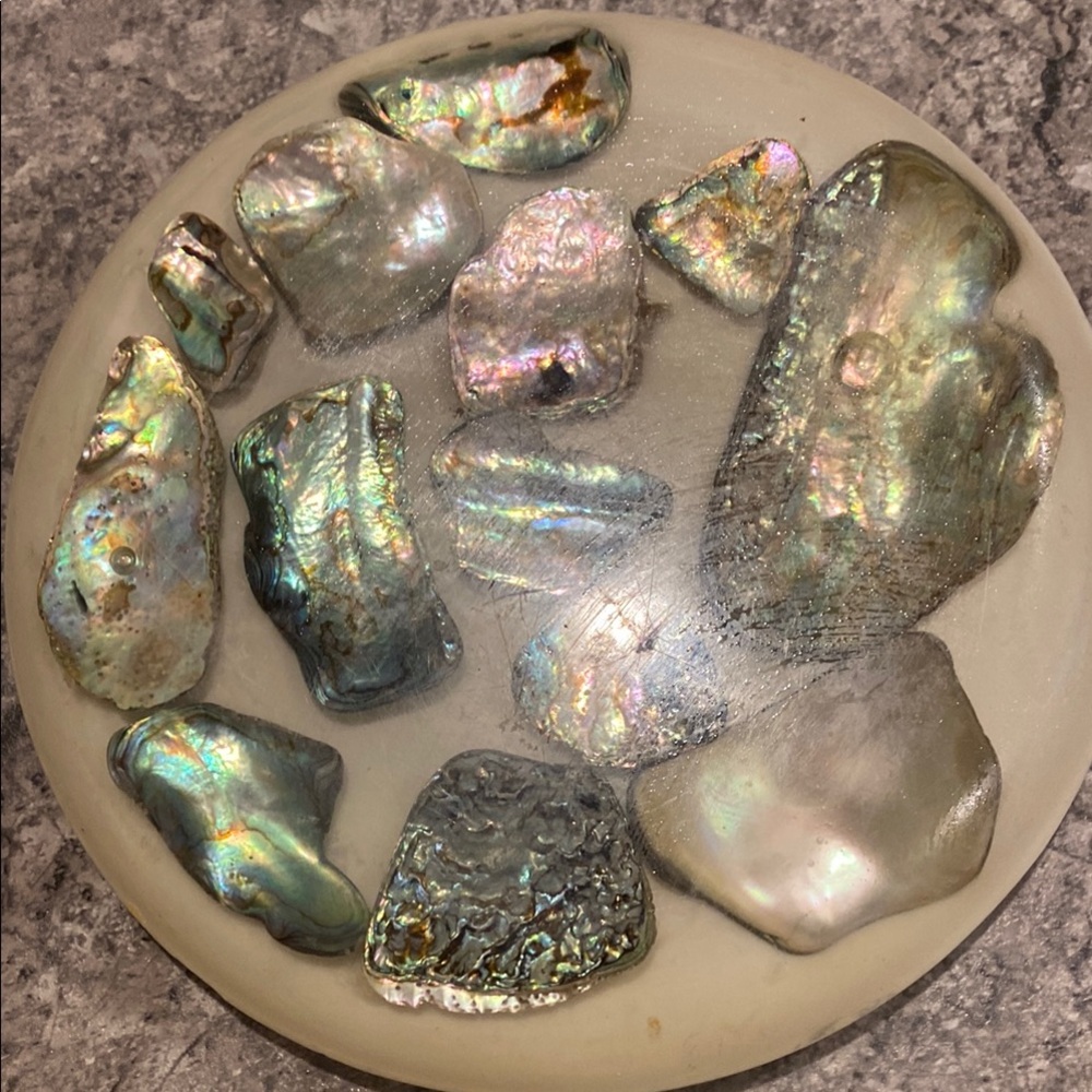 70s Elegant Abalone Shell Decorative trivet make an offer